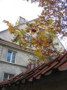 �������. 2004